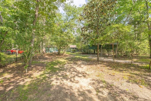 9847 N Lake Vw, Montgomery, TX 77316 - view of yard with a detached carport
