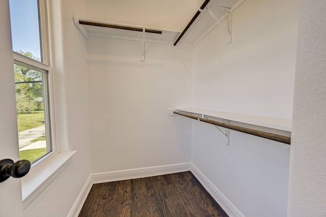 spacious closet with dark wood-style floors