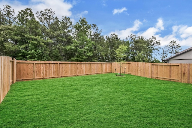 view of yard featuring a fenced backyard