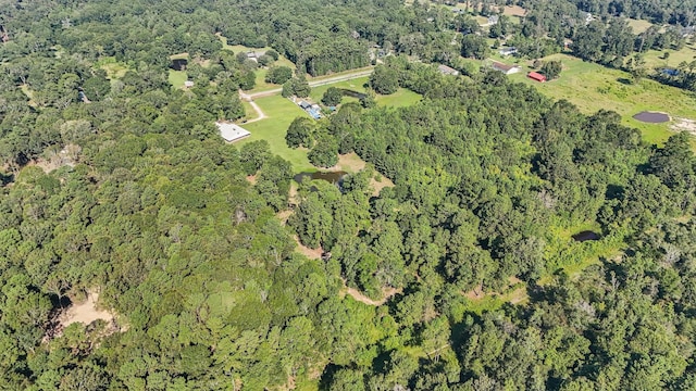 413 County Road 2191, Cleveland, TX 77327 - photo 42