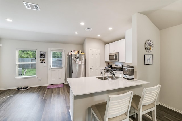 kitchen featuring visible vents, a sink, dark wood-type flooring, and stainless steel appliances