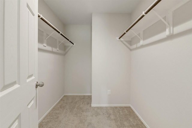 254 Cumberland Forest Dr, Magnolia, TX 77354 - spacious closet with carpet floors