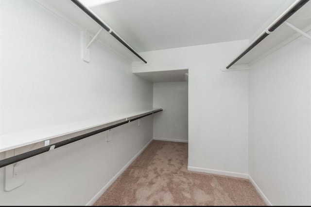 walk in closet featuring light colored carpet