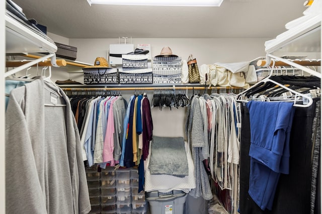 view of spacious closet