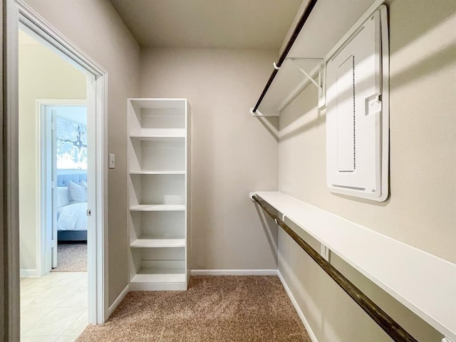 spacious closet with light carpet