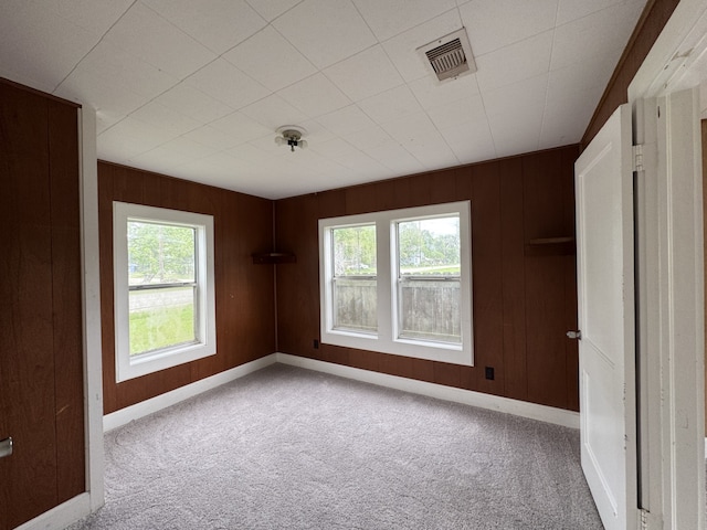 spare room featuring baseboards, carpet, and a wealth of natural light