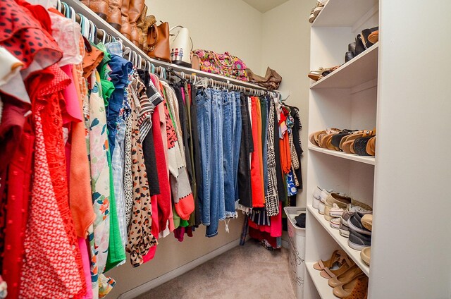 walk in closet featuring carpet