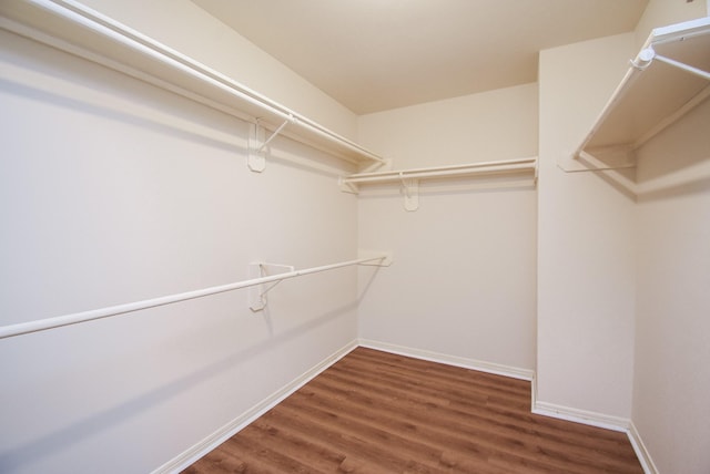 walk in closet featuring wood finished floors