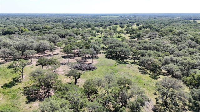 33.619ACRES Private Road 4007, Yoakum, TX 77995