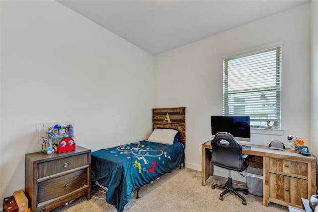 bedroom with carpet floors