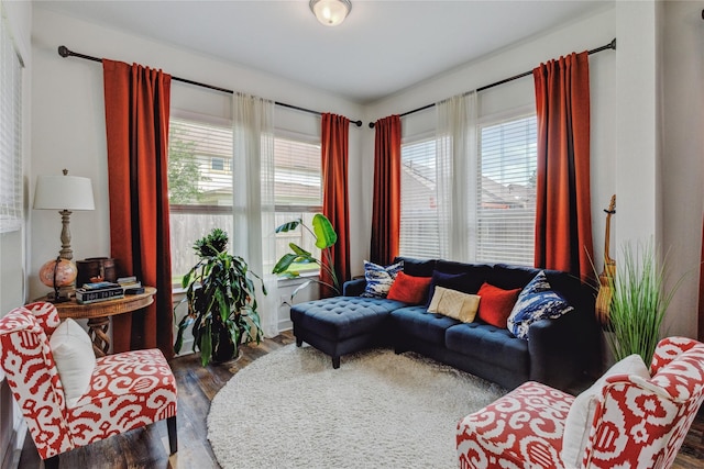 living room featuring wood finished floors and a wealth of natural light