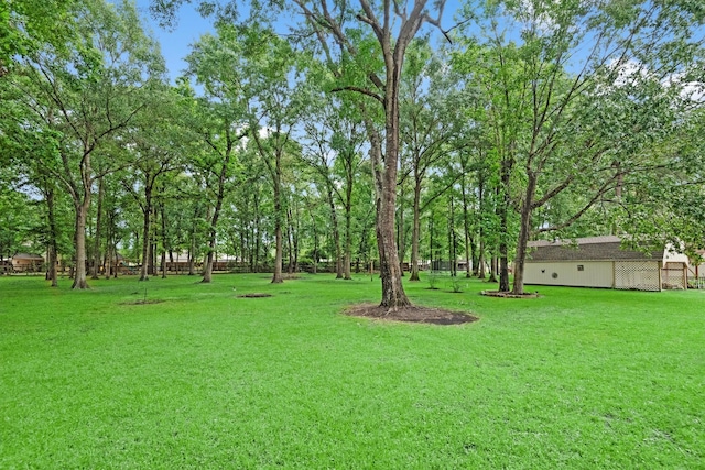 230009 Kama Dr, Porter, TX 77365 - view of yard