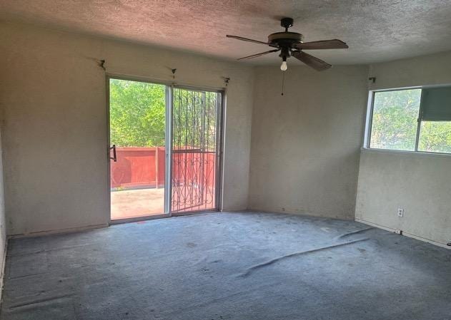 carpeted spare room featuring a ceiling fan, a textured ceiling, and a wealth of natural light
