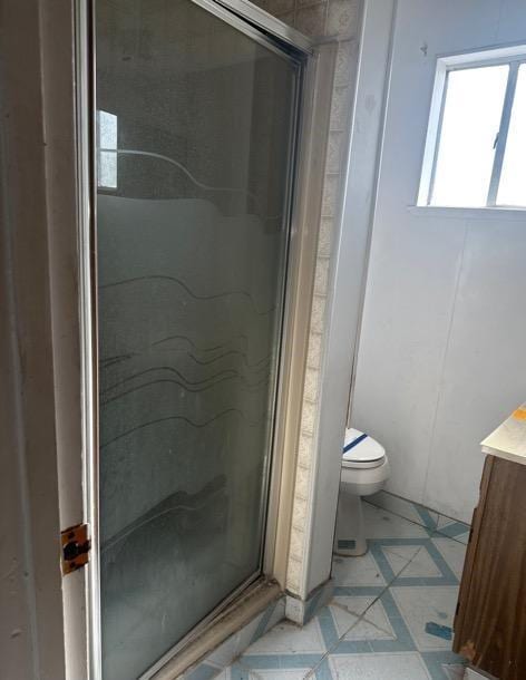 bathroom with vanity, a stall shower, and toilet