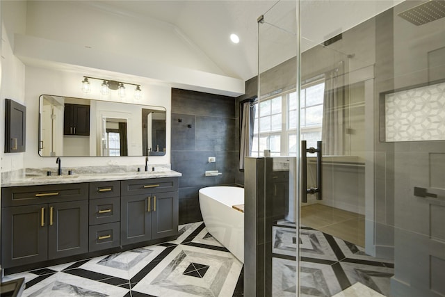 bathroom featuring a sink, tile walls, plenty of natural light, and a shower stall