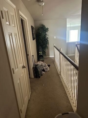 15827 Maple Shores Dr, Houston, TX 77044 - corridor featuring carpet floors and baseboards