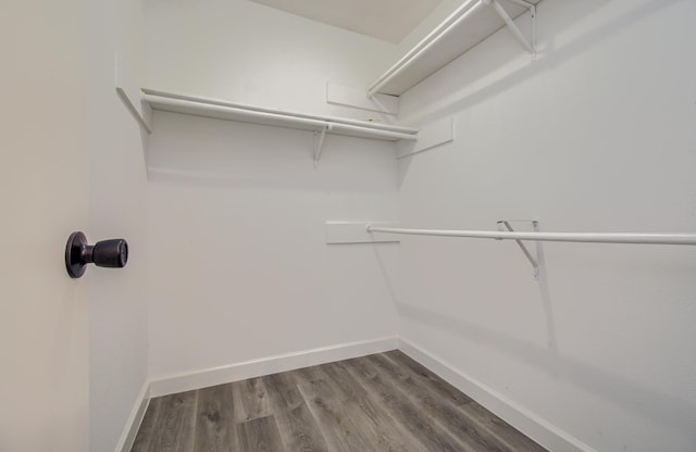 spacious closet with dark wood-style flooring