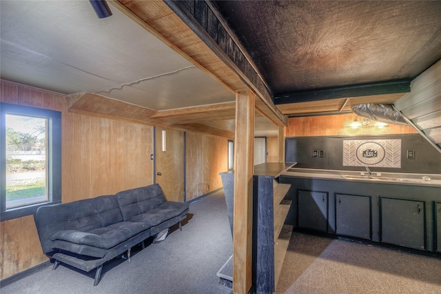 below grade area with wood walls and carpet flooring