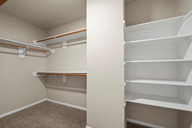 spacious closet with carpet flooring