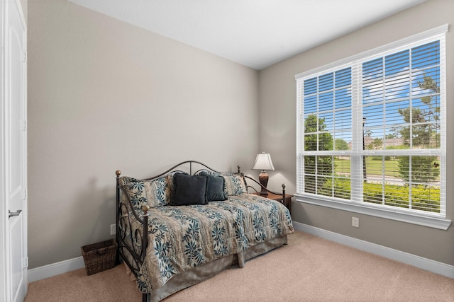 364 Connemara Dr, The Woodlands, TX 77382 - photo 24