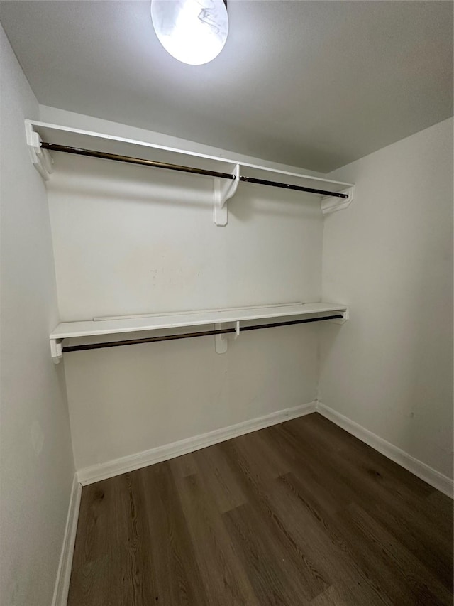 walk in closet featuring dark wood-style flooring