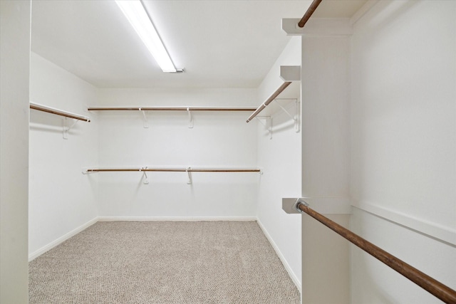 walk in closet with carpet
