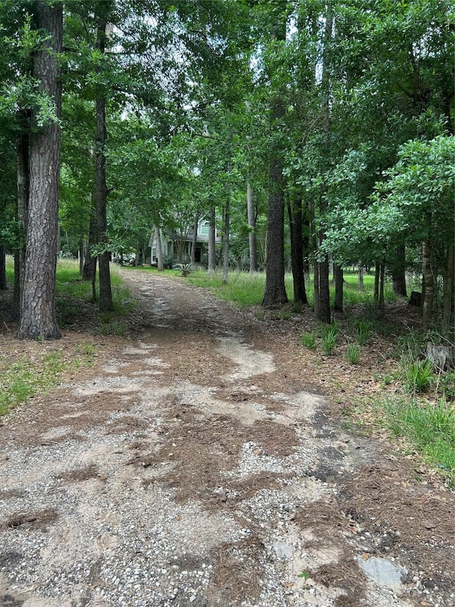 view of street with driveway