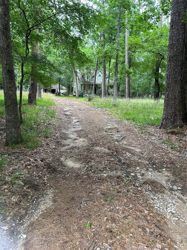 view of road with driveway