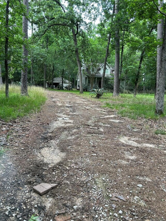 view of road featuring driveway