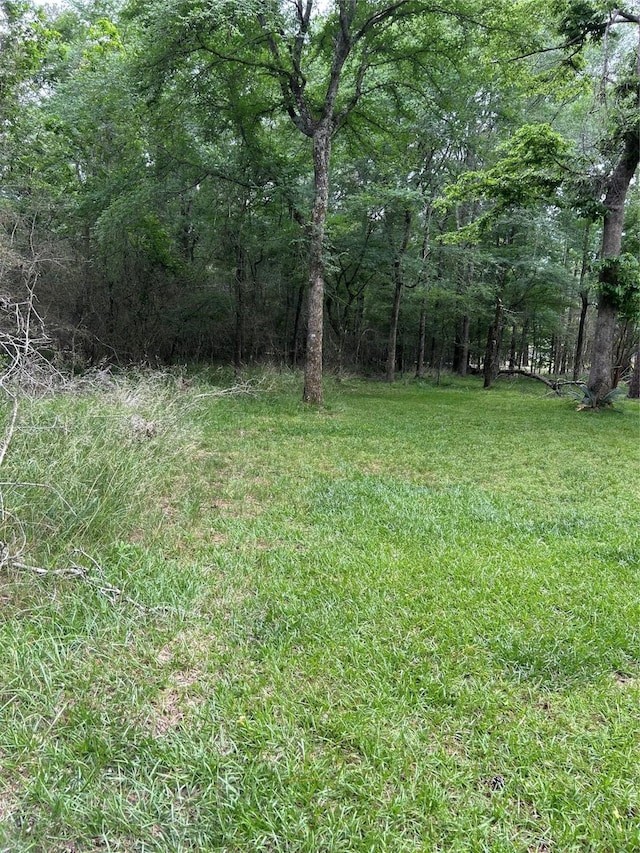 view of yard with a wooded view
