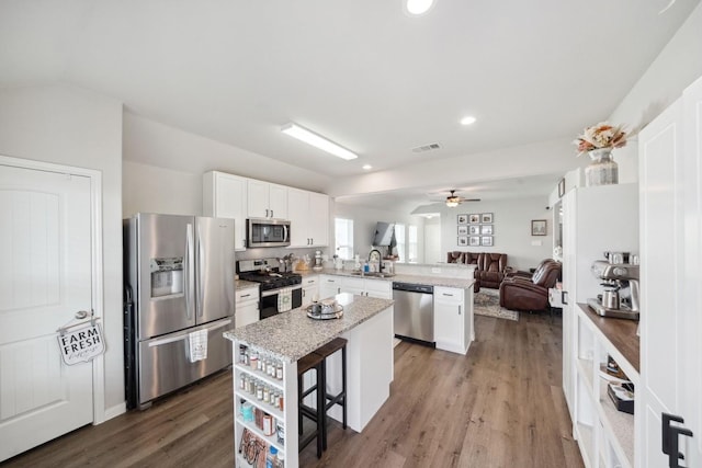 kitchen with wood finished floors, a sink, a peninsula, open floor plan, and stainless steel appliances