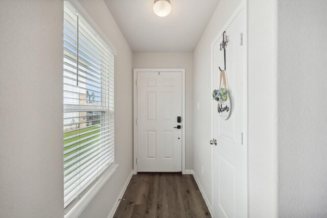 entryway featuring baseboards and wood finished floors