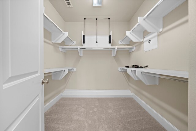spacious closet featuring carpet flooring and visible vents