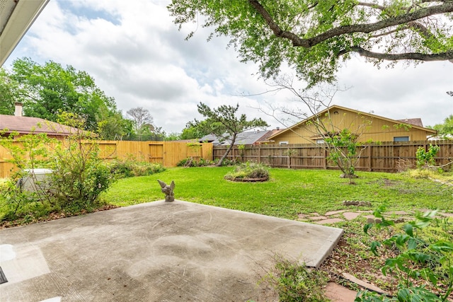 view of yard with a fenced backyard and a patio area