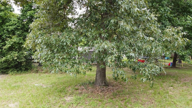 17618 Winding Creek Ln, Magnolia, TX 77355 - photo 4