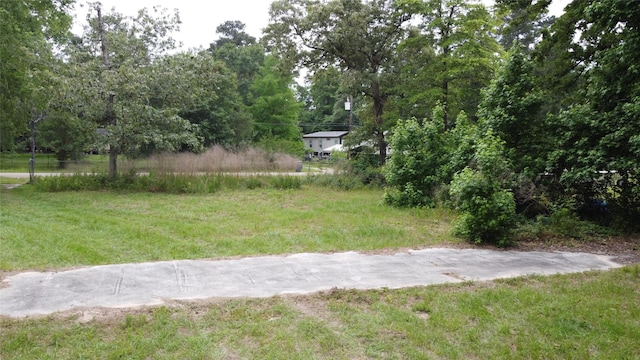 17618 Winding Creek Ln, Magnolia, TX 77355 - photo 5