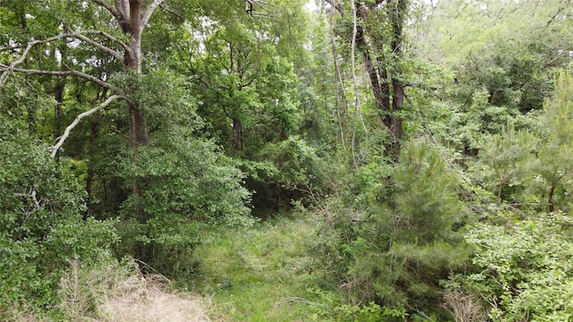 17618 Winding Creek Ln, Magnolia, TX 77355 - photo 8