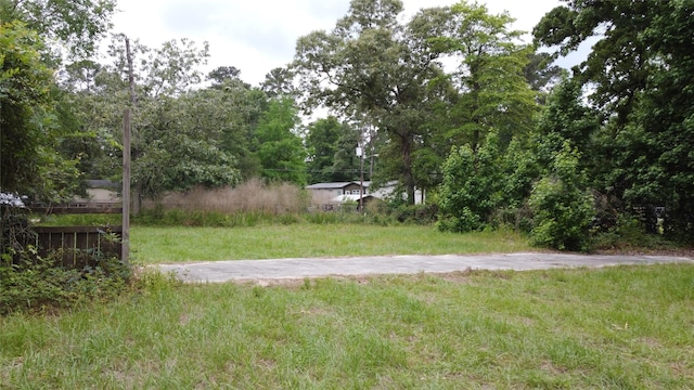 17618 Winding Creek Ln, Magnolia, TX 77355 - photo 9