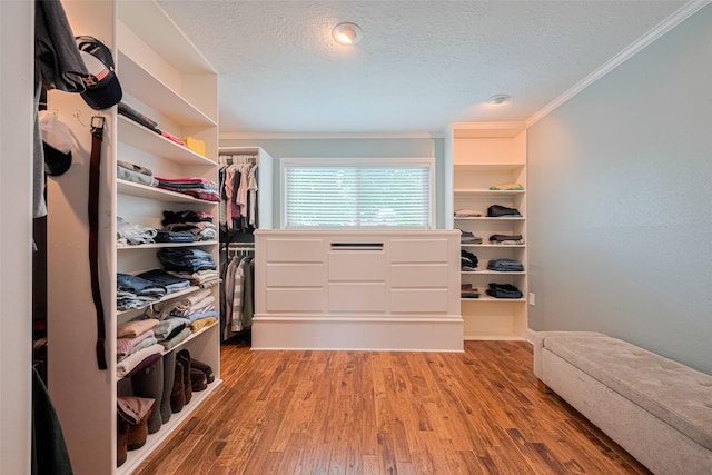 spacious closet featuring wood finished floors