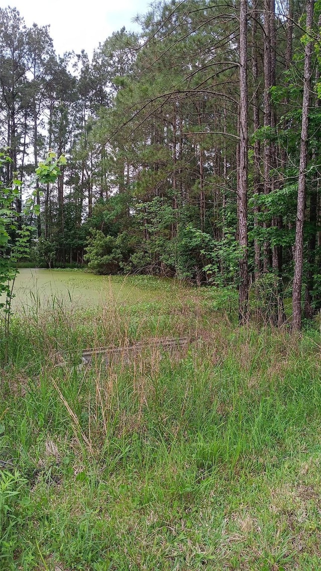 190 Oldbury St, Vidor, TX 77662 - photo 9