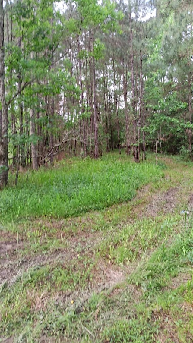 190 Oldbury St, Vidor, TX 77662 - photo 11