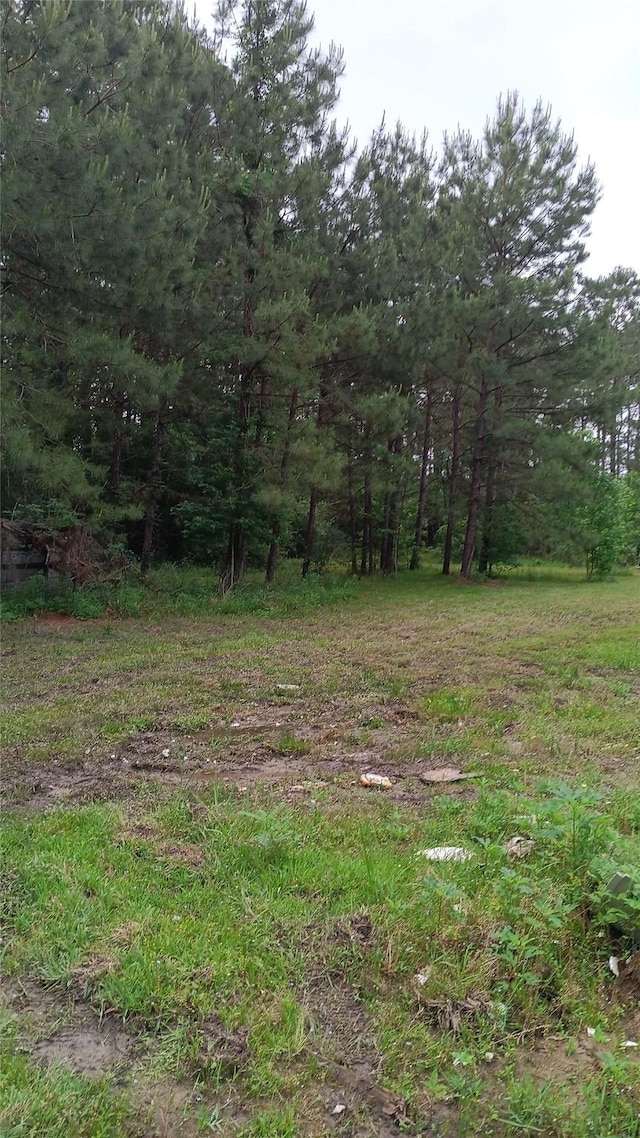 190 Oldbury St, Vidor, TX 77662 - photo 12