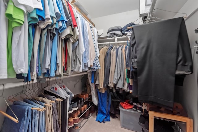 9614 Oconnor Ln, Missouri City, TX 77459 - view of spacious closet