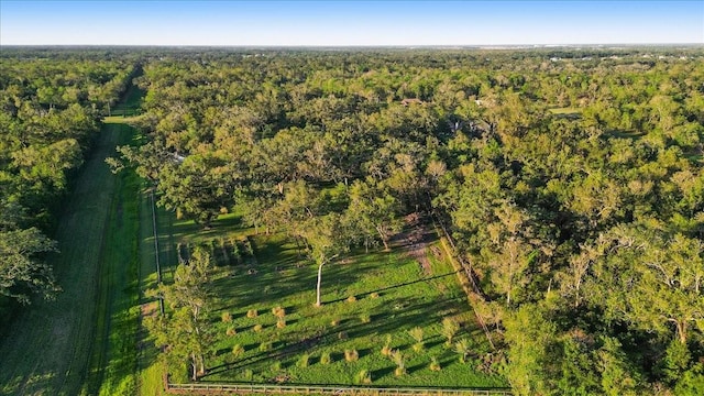 1415 China Grove Dr, Rosharon, TX 77583 - photo 42