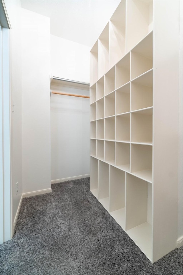 54 N Crossed Birch Pl, The Woodlands, TX 77381 - walk in closet featuring carpet floors