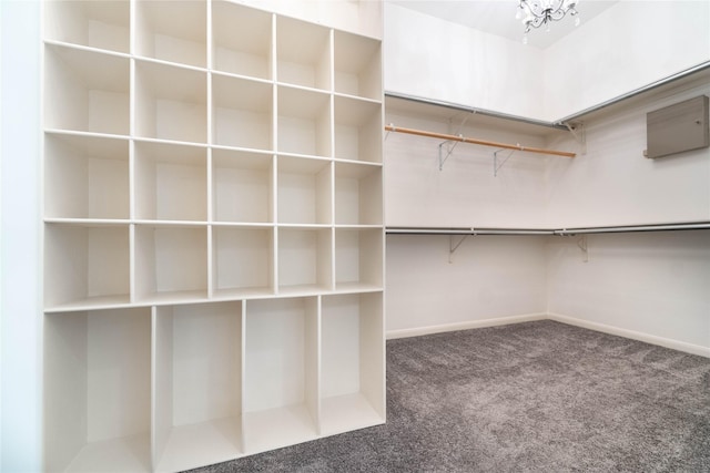 54 N Crossed Birch Pl, The Woodlands, TX 77381 - walk in closet featuring carpet flooring