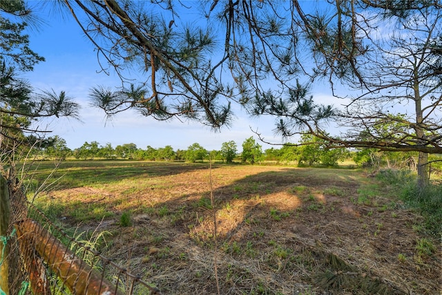 view of local wilderness featuring a rural view
