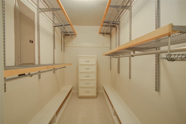 5311 Graystone Ln, Houston, TX 77069 - spacious closet featuring electric panel and light carpet