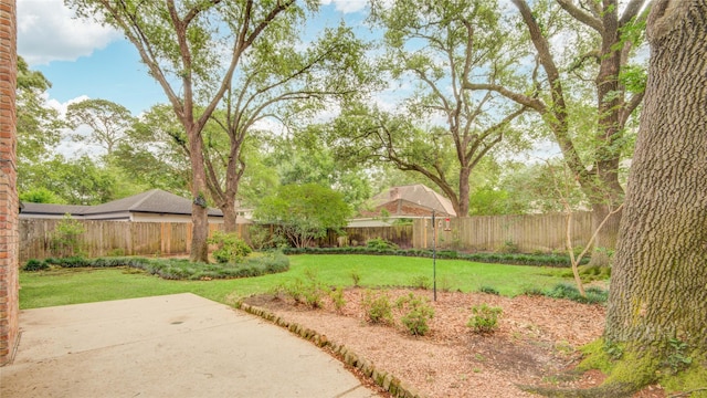 view of yard featuring a fenced backyard and a patio area