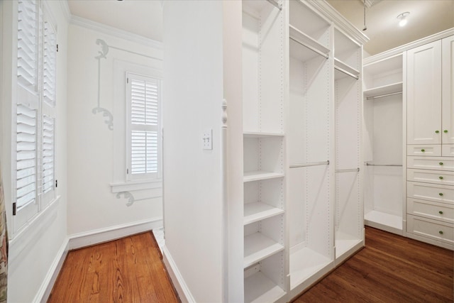 2614 Stanford St, Houston, TX 77006 - spacious closet featuring dark wood finished floors